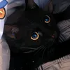 protector6