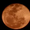 duduu_26