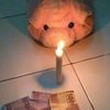 trstnad