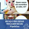 luizneves6898
