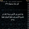 user1600439852127