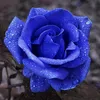 user89566050