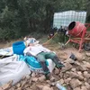 zarillo