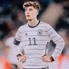 hawahavertz