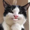 chubbycake3