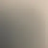 bdog4653