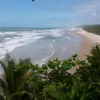 patriciaalmeida5839