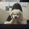 a.gd_