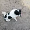 youtube_e95