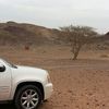 الصابري ١
