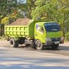 babygreen045