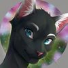 kittycatphilip