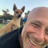 littlebaldman