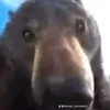 ilysha_27_