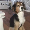 janie_1888
