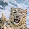 hatam820