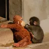 mariateresapunto