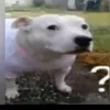 ofilhodamaedorenan