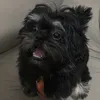 vic_lindaegstz
