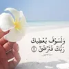 dyrkyqsq3rm8