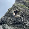 ynsmc08