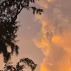 sndrvlj