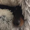 nannybear14