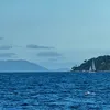 raphaelsci
