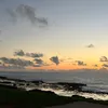 zakaria_xvj