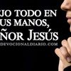 soledadsoliz0