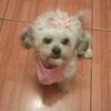 1217marle3