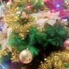 elishashop07122023