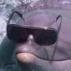 coolcownoah