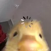 w2ypo_