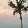 iiv_432