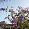 kk._3232