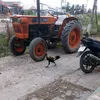 hoangvuong62n1
