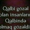 ilkin452