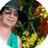 conceio02242