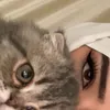 girl_barznji
