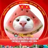 thich_anduahau5