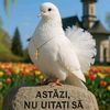 ads03235467