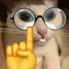 tavopvp