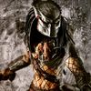 wolf_predator1
