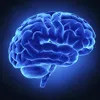 dr_prof_aleks