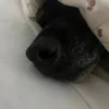 lexie_0310