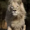 userhih0qg5tnr
