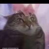kazinovvv
