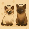 arayathesiamese
