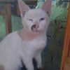 fredito_25.12
